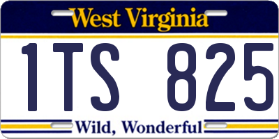 WV license plate 1TS825