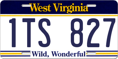 WV license plate 1TS827