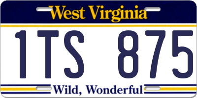 WV license plate 1TS875