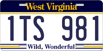 WV license plate 1TS981