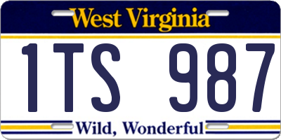 WV license plate 1TS987