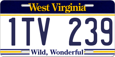 WV license plate 1TV239
