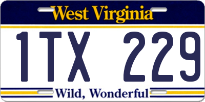 WV license plate 1TX229