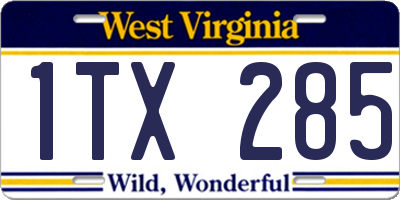 WV license plate 1TX285