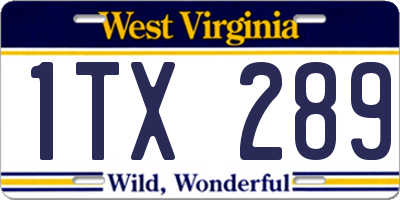 WV license plate 1TX289