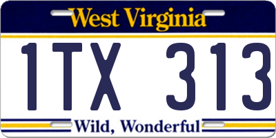 WV license plate 1TX313