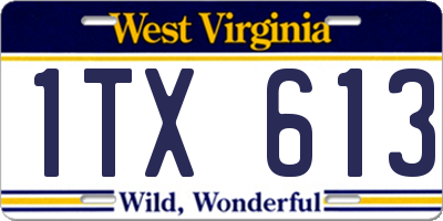 WV license plate 1TX613