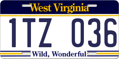 WV license plate 1TZ036