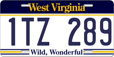 WV license plate 1TZ289