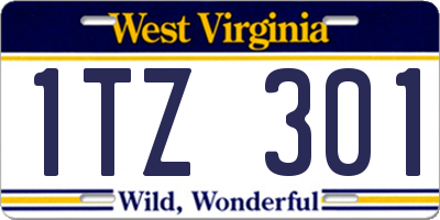 WV license plate 1TZ301