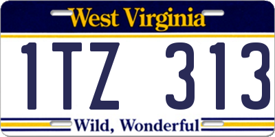 WV license plate 1TZ313