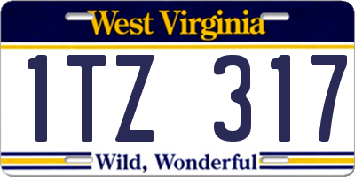 WV license plate 1TZ317