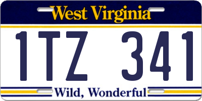 WV license plate 1TZ341