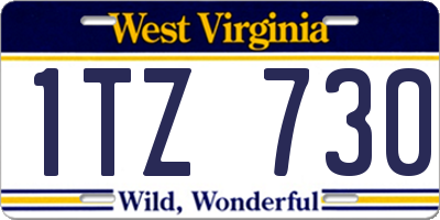 WV license plate 1TZ730