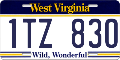 WV license plate 1TZ830
