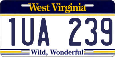 WV license plate 1UA239