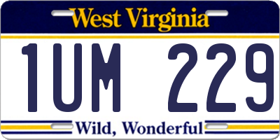 WV license plate 1UM229