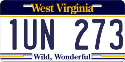 WV license plate 1UN273