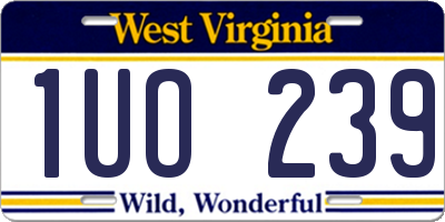 WV license plate 1UO239