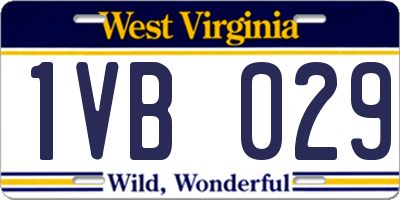 WV license plate 1VB029