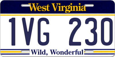 WV license plate 1VG230