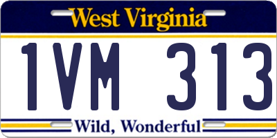 WV license plate 1VM313
