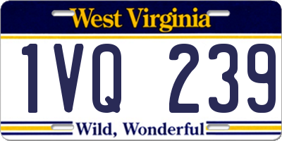 WV license plate 1VQ239