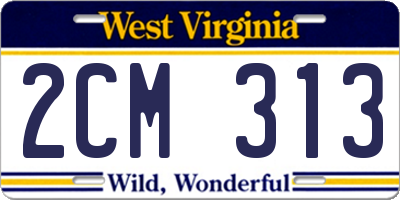 WV license plate 2CM313