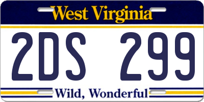 WV license plate 2DS299