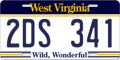 WV license plate 2DS341