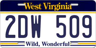 WV license plate 2DW509