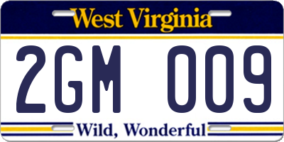 WV license plate 2GM009
