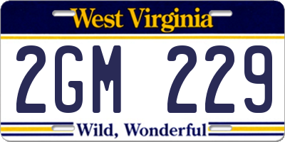 WV license plate 2GM229