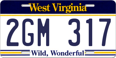 WV license plate 2GM317