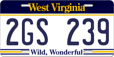 WV license plate 2GS239