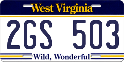 WV license plate 2GS503