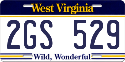 WV license plate 2GS529