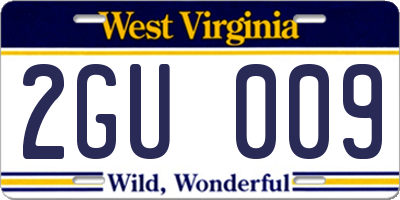WV license plate 2GU009