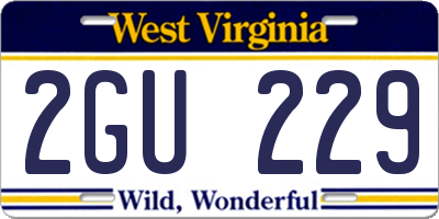 WV license plate 2GU229