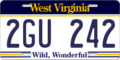 WV license plate 2GU242