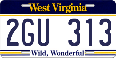WV license plate 2GU313