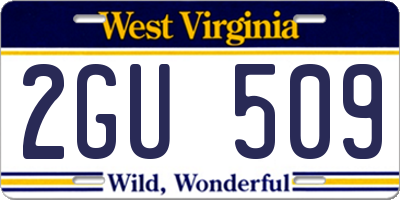 WV license plate 2GU509