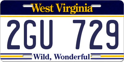 WV license plate 2GU729
