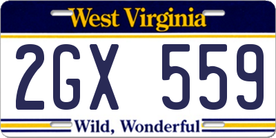 WV license plate 2GX559