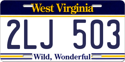 WV license plate 2LJ503