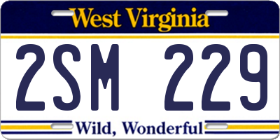 WV license plate 2SM229