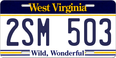 WV license plate 2SM503