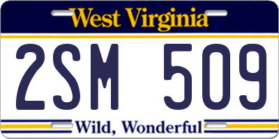 WV license plate 2SM509