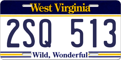WV license plate 2SQ513