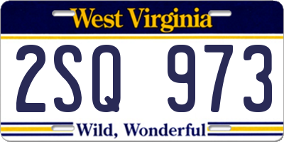 WV license plate 2SQ973